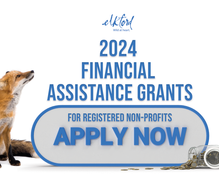 Apply Now For 2024 Financial Assistance Grants District Of Elkford   2024 Financial Assistance Grants Fox 